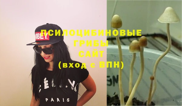 гашик Михайловка