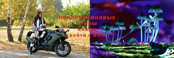 гашик Михайловка
