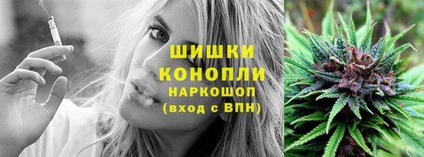 гашик Михайловка