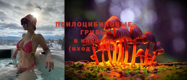 гашик Михайловка